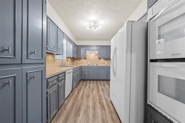 kitchen featuring a textured ceiling, light wood-type flooring, a sink, light countertops, and white appliances
