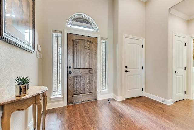 foyer with baseboards, wood finished floors, and a high ceiling