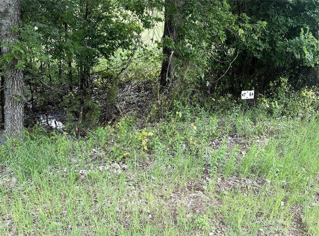 7 E Bay Dr, Bridgeport, TX 76426