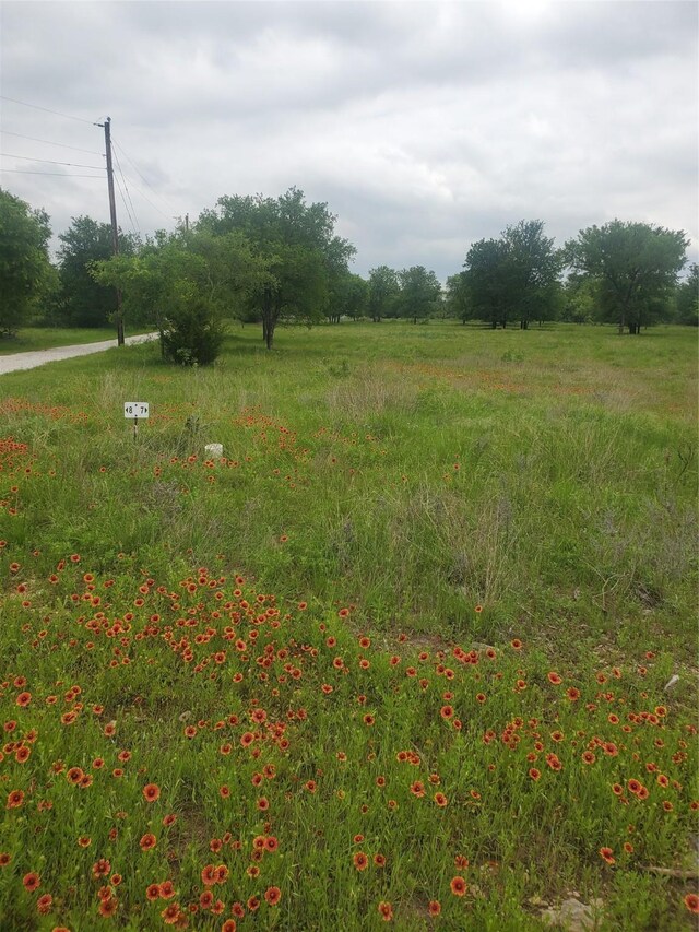 7 E Bay Dr, Bridgeport, TX 76426