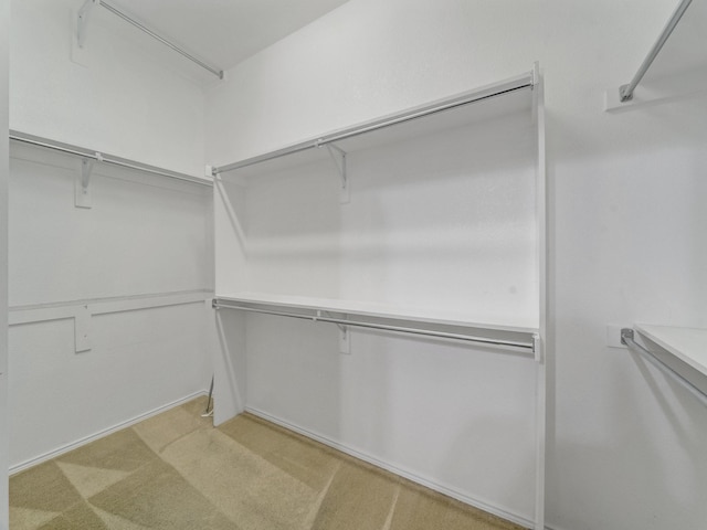 walk in closet featuring light carpet