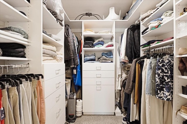 4460 Connemara Dr, Frisco, TX 75034 - walk in closet with carpet flooring