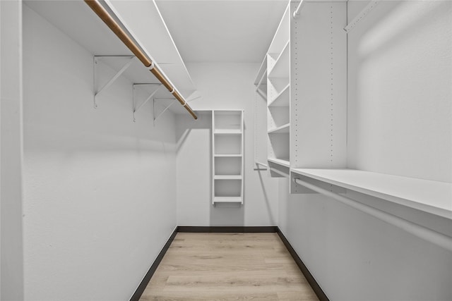 spacious closet featuring light wood-style floors
