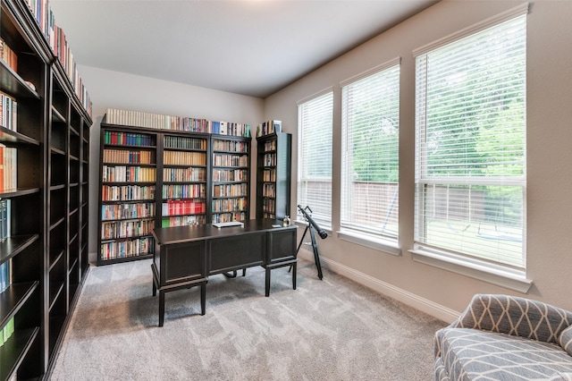 carpeted home office with baseboards and wall of books