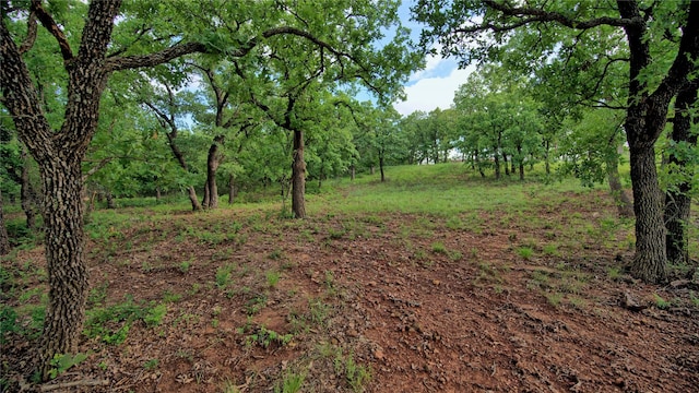 view of local wilderness