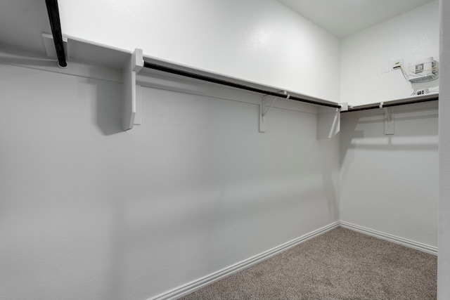 2021 Pine Stone Ln, Forney, TX 75126 - walk in closet featuring carpet flooring