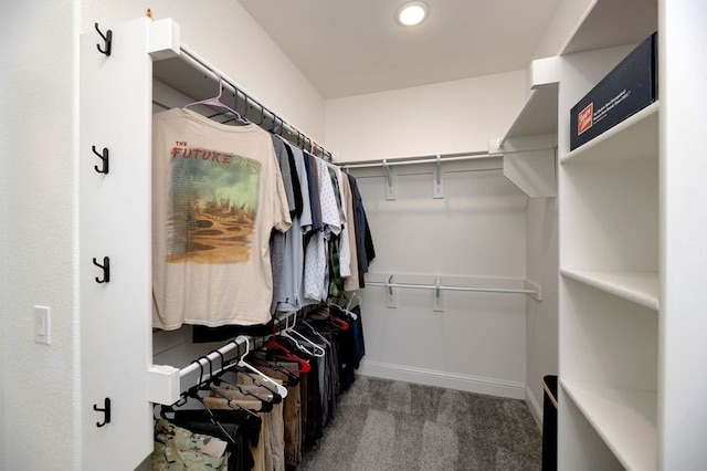235 Winchester St, Van Alstyne, TX 75495 - walk in closet featuring carpet