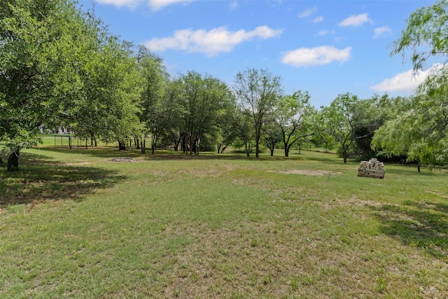 view of yard