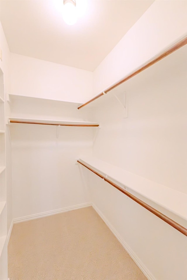 spacious closet with light colored carpet