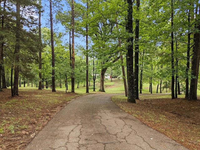 view of community featuring aphalt driveway