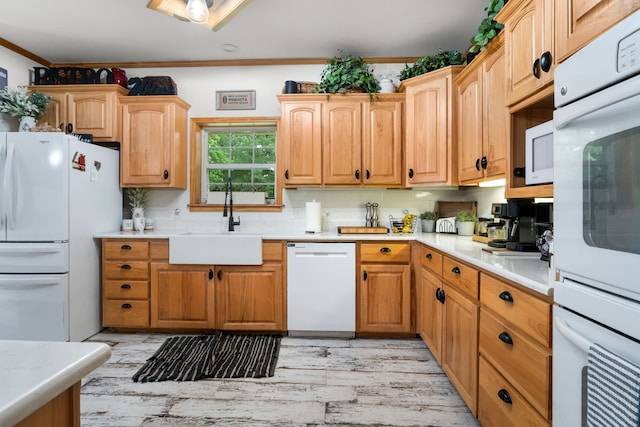 kitchen with crown molding, a sink, light wood-style floors, white appliances, and light countertops