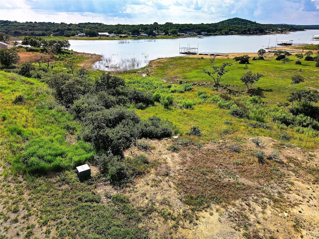 371 Hidden Shores Dr, Cisco, TX 76437