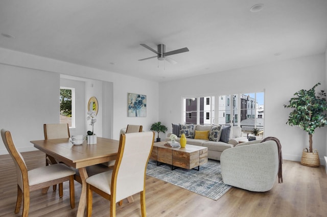 1922 Annex Ave, Dallas, TX 75204 - dining room featuring a ceiling fan, baseboards, and light wood-type flooring