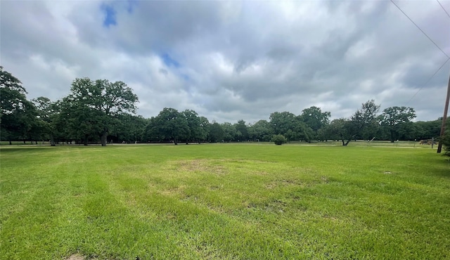 view of green lawn