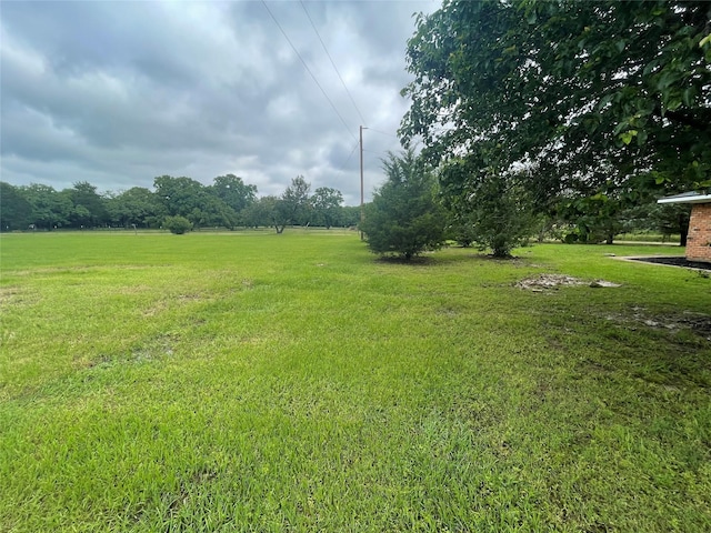 view of green lawn