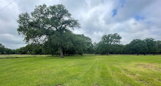 view of grassy yard
