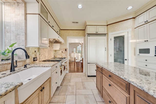 kitchen featuring crown molding, high quality appliances, light stone countertops, a sink, and visible vents