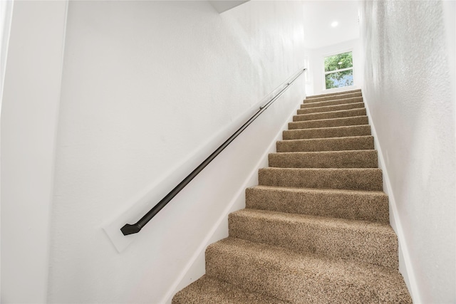 staircase with carpet