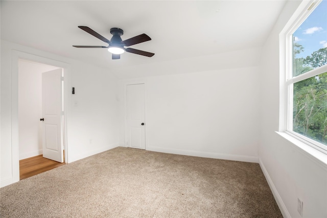 unfurnished bedroom featuring baseboards, multiple windows, and carpet