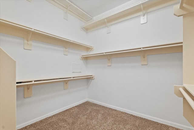 spacious closet with carpet