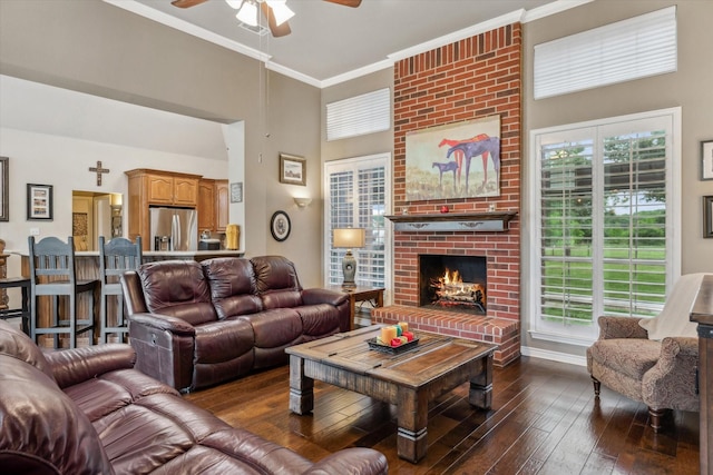 living room featuring ceiling fan, dark wood-style flooring, crown molding, a brick fireplace, and a high ceiling