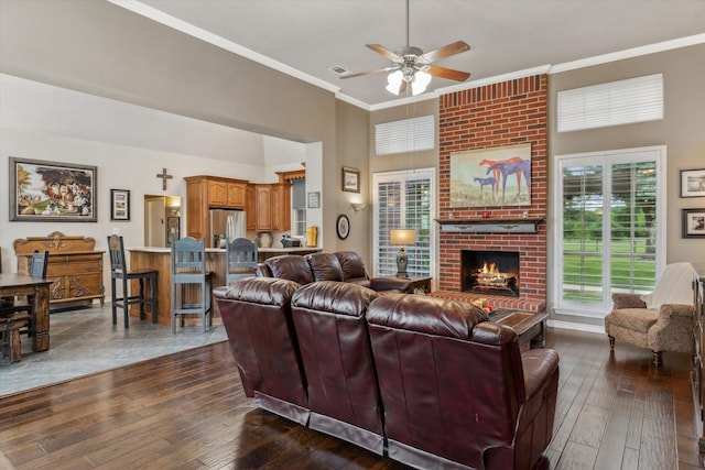 living area featuring visible vents, a ceiling fan, dark wood-style floors, and ornamental molding