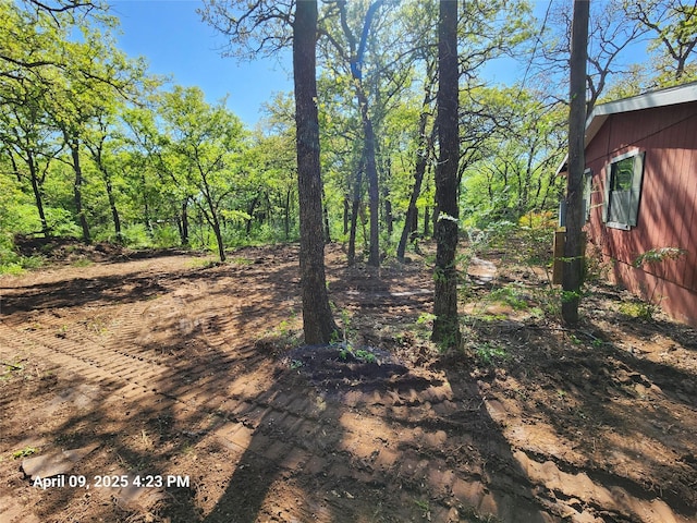 6108 County Road 809, Cleburne, TX 76031 - view of yard
