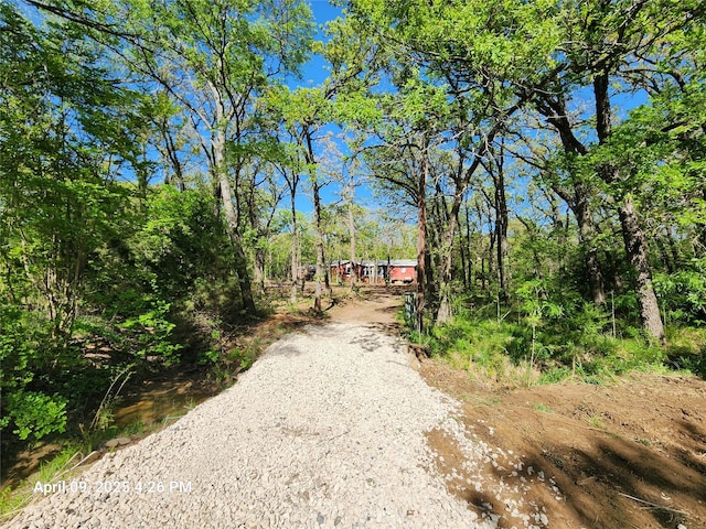 view of road with driveway