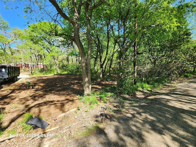 6108 County Road 809, Cleburne, TX 76031 - view of yard
