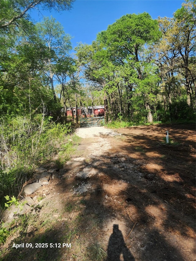 view of street featuring dirt driveway and a gated entry