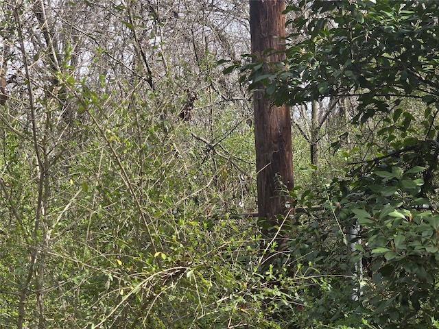 6108 County Road 809, Cleburne, TX 76031 - view of local wilderness
