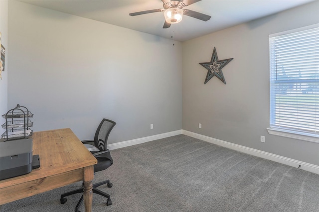 250 Beulah Rd, Millsap, TX 76066 - unfurnished office with carpet floors, baseboards, ceiling fan, and a wealth of natural light