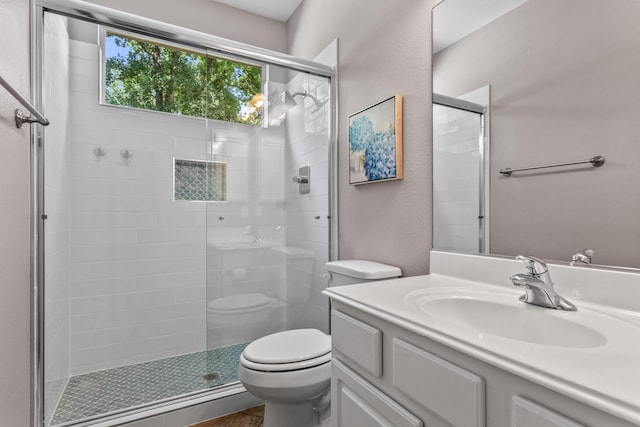 bathroom with toilet, a shower stall, and vanity