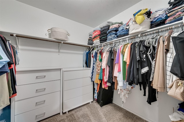 spacious closet featuring carpet