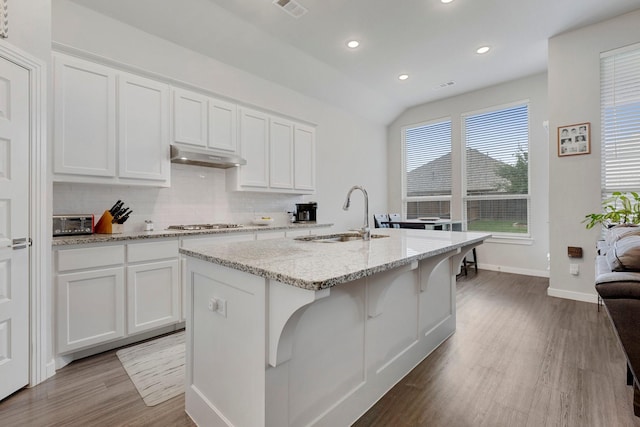 1732 Journey Forth Trl, Wylie, TX 75098 - kitchen featuring under cabinet range hood, decorative backsplash, a sink, and wood finished floors