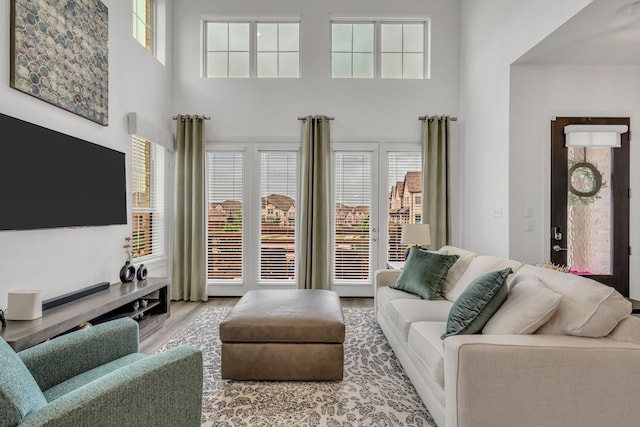 living room featuring a healthy amount of sunlight, wood finished floors, and a towering ceiling