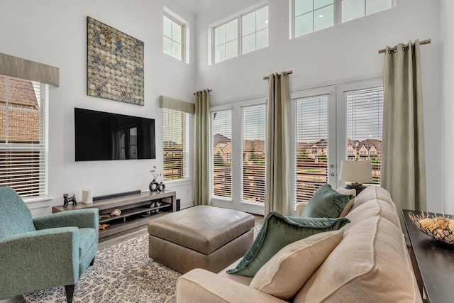 living area with a high ceiling