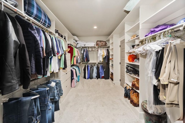170 Rolling Hills Blvd, Alvord, TX 76225 - walk in closet with carpet flooring