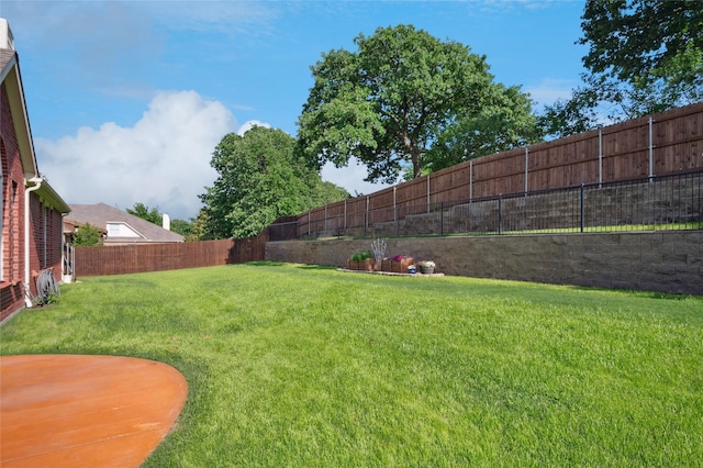 view of yard with a fenced backyard