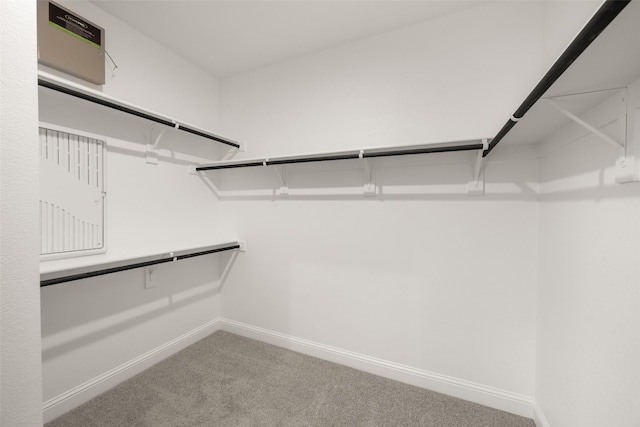 510 Reatta Dr, Justin, TX 76247 - walk in closet with carpet