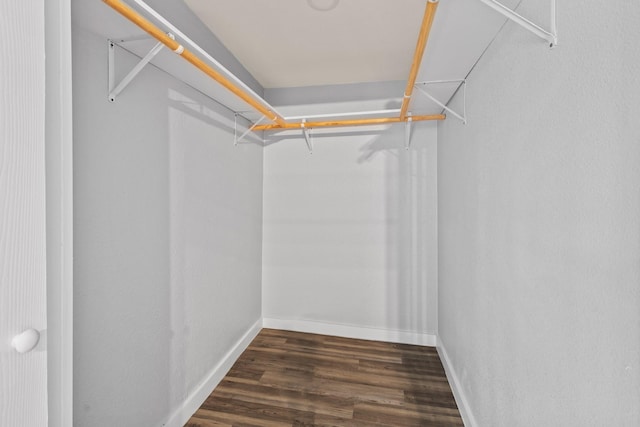 spacious closet featuring wood finished floors