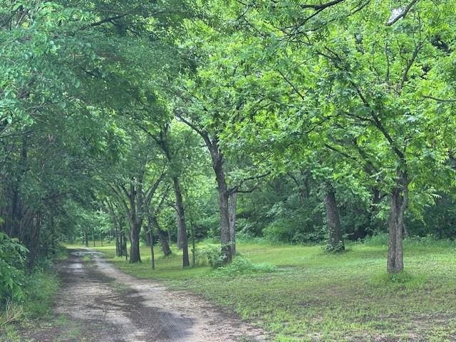 315 Low Water Rd, Grandview, TX 76050 - view of street featuring a view of trees