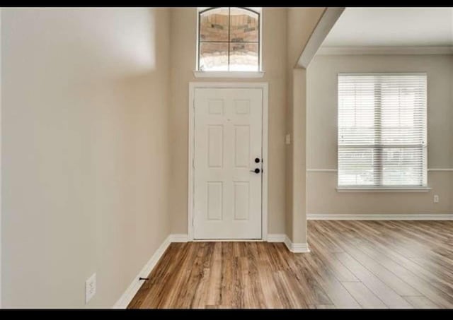 foyer featuring baseboards, plenty of natural light, and light wood-style flooring