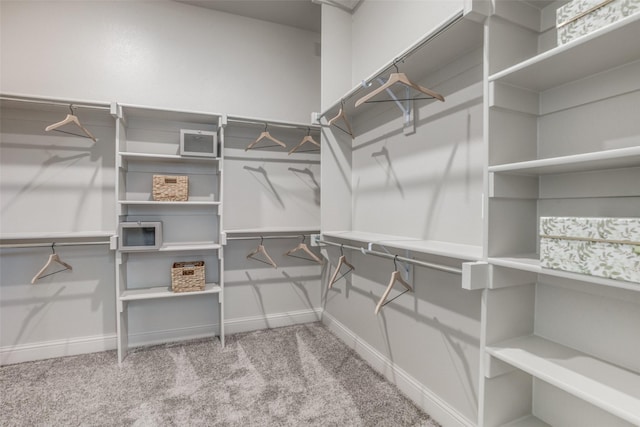spacious closet with carpet flooring
