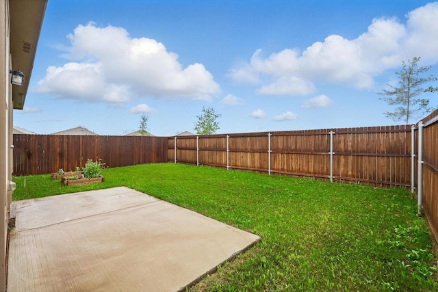 view of yard featuring a fenced backyard and a patio area