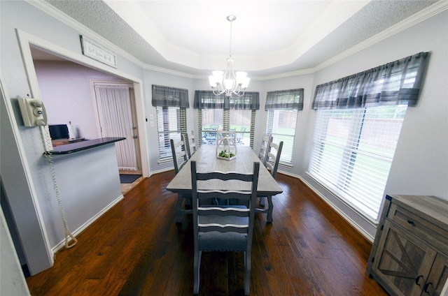 dining room with a notable chandelier, a wealth of natural light, a raised ceiling, and dark wood finished floors