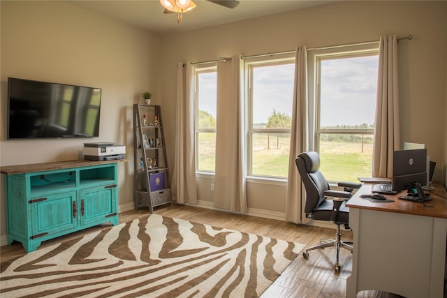 office featuring ceiling fan, baseboards, and light wood-type flooring