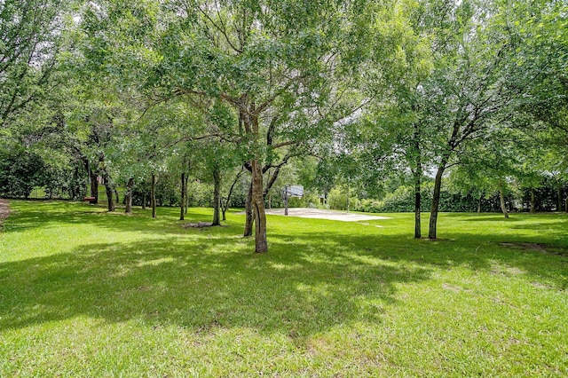1342 Steeple Chase Ln, Aledo, TX 76008 - view of yard