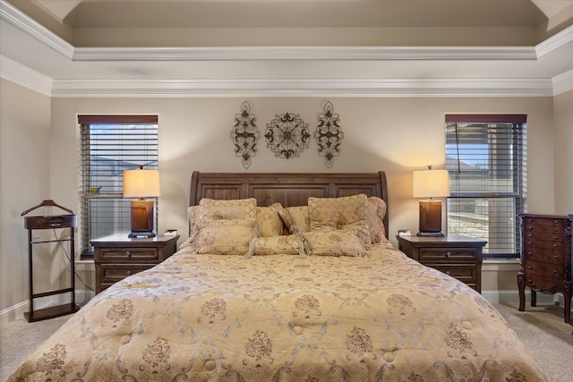 1408 Joshua Way, Granbury, TX 76048 - bedroom with carpet floors, baseboards, and multiple windows