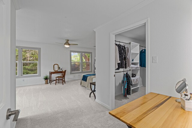 356 Bedford Ct E, Bedford, TX 76022 - hall featuring crown molding, carpet flooring, and baseboards